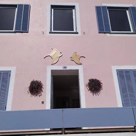 Manta Ray Lodge 奥尔塔 外观 照片